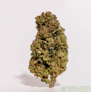 Pre Roll (1 Gram) – Space Force