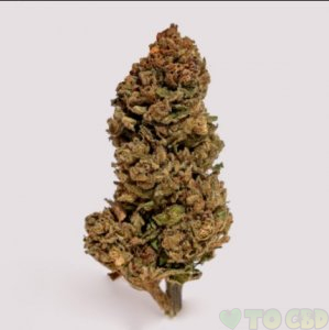 Pre Roll (1 Gram) – Alien OG