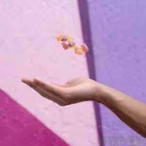 Daytime Hemp Gummies
