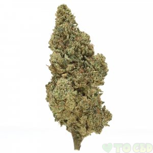 DELTA-8 THC PINEAPPLE HAZE