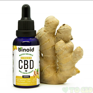 BINOID DROPS - GINGER