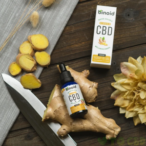 BINOID DROPS - GINGER