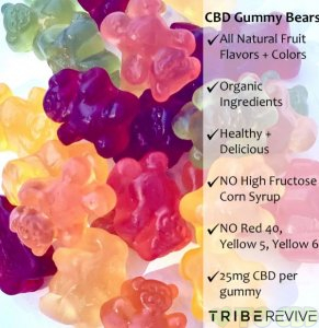 One of Each: Delta 8 + CBD Gummy Bears Combo| 2 Boxes – 500 MG CBD + 500 MG D8