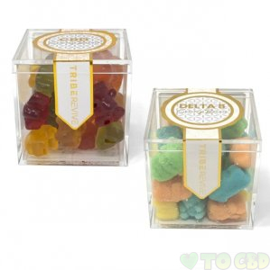 One of Each: Delta 8 + CBD Gummy Bears Combo| 2 Boxes – 500 MG CBD + 500 MG D8