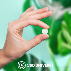 10mg CBD Mints | 2 Flavors