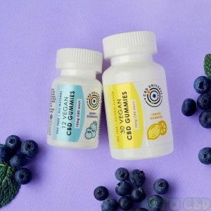 10mg CBD Gummies  12Bottle  4 Flavors