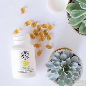 25mg CBD Gel Capsules