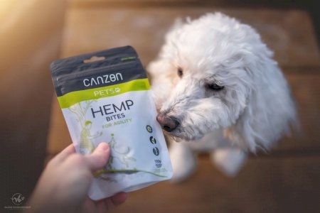 CBD Dog Treats for Agility