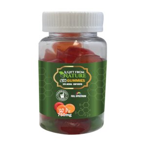 CBD Infused Gummies 30Pc - 750MG
