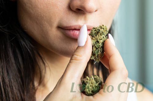 Benefits Of Hemp Flower